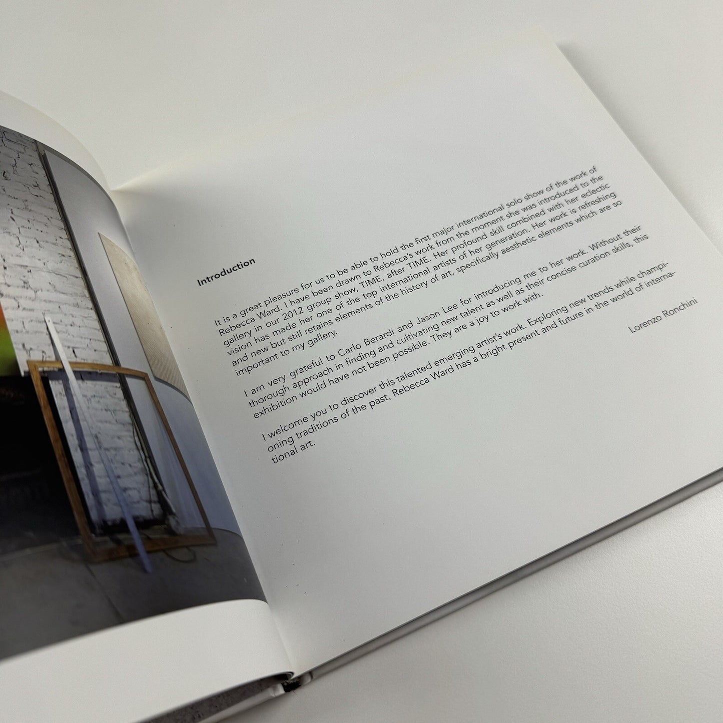 Rebecca Ward. Cow Tipping | Ronchini Gallery / Artnesia 2013 catalogue