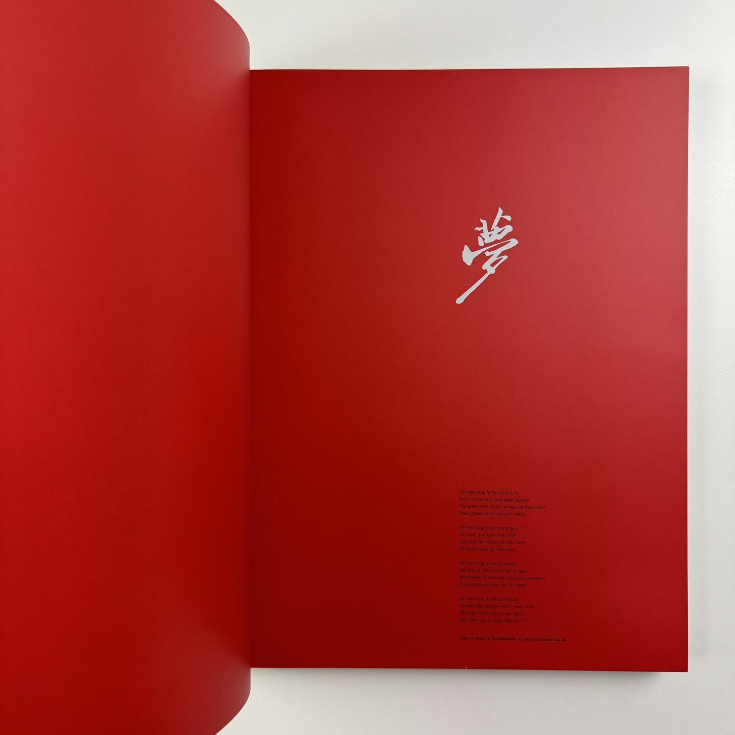 Dream 2001. Contemporary Chinese Art Exhibition | The Red Mansion catalogue, 2001