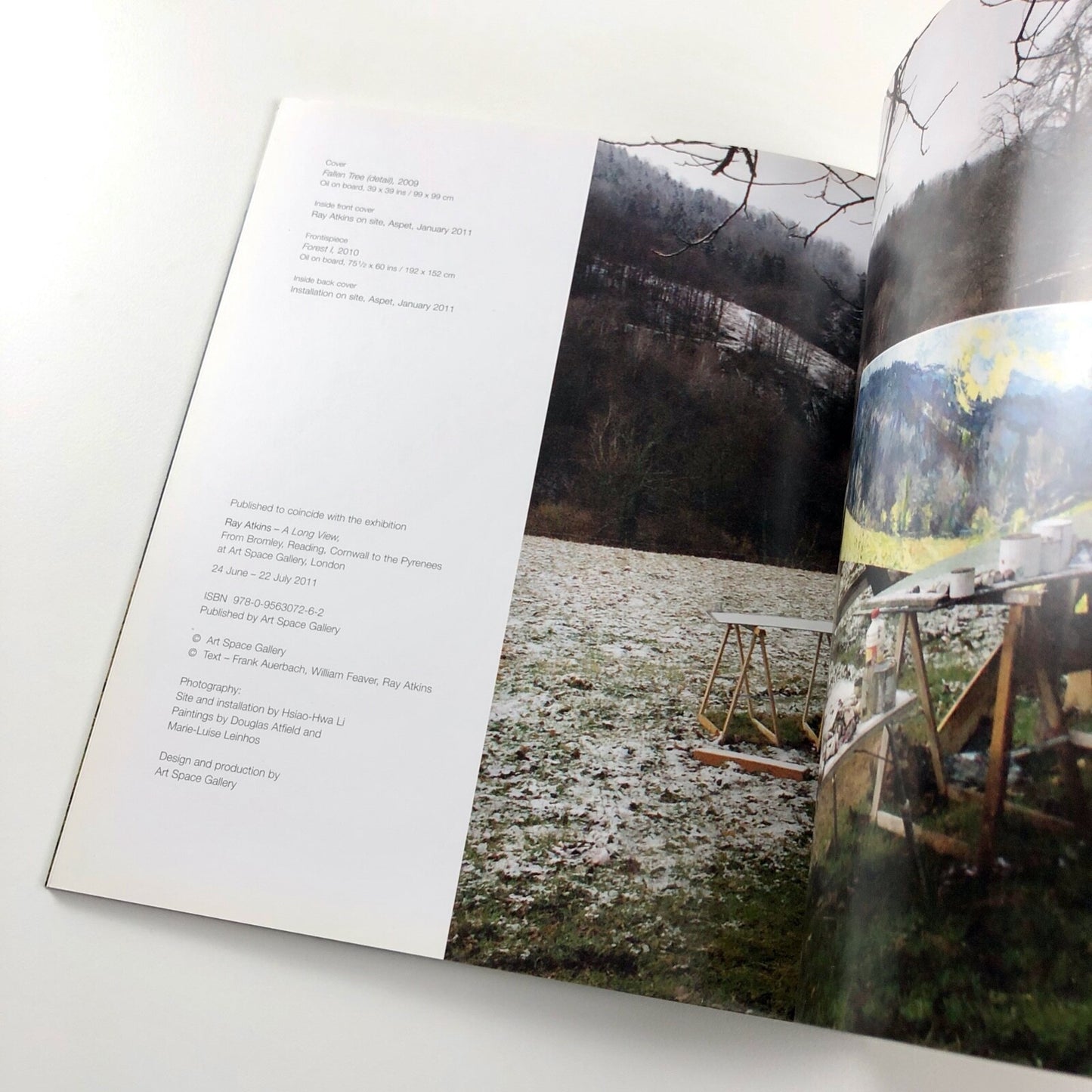 Ray Atkins. A Long View. From Bromley, Reading, Cornwall to the Pyrenees | Art Space Gallery, 2011