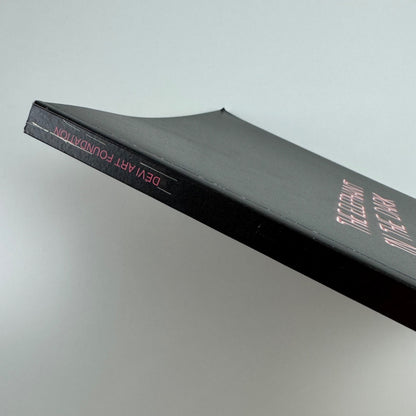 The Elephant in the Dark | Delvi Art Foundation, New Delhi, 2012 curated by Amirali Ghasemi