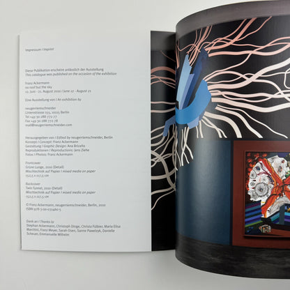 Franz Ackermann no roof but the sky | Neugerriemschneider, 2010 catalogue