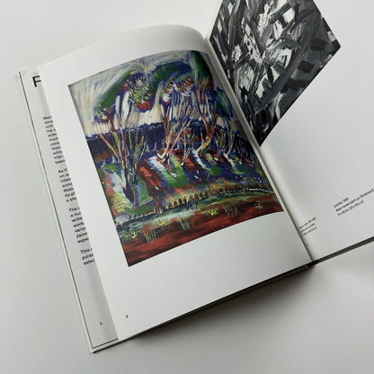 Merlin James | Parasol unit, London 2013 exhibition catalogue