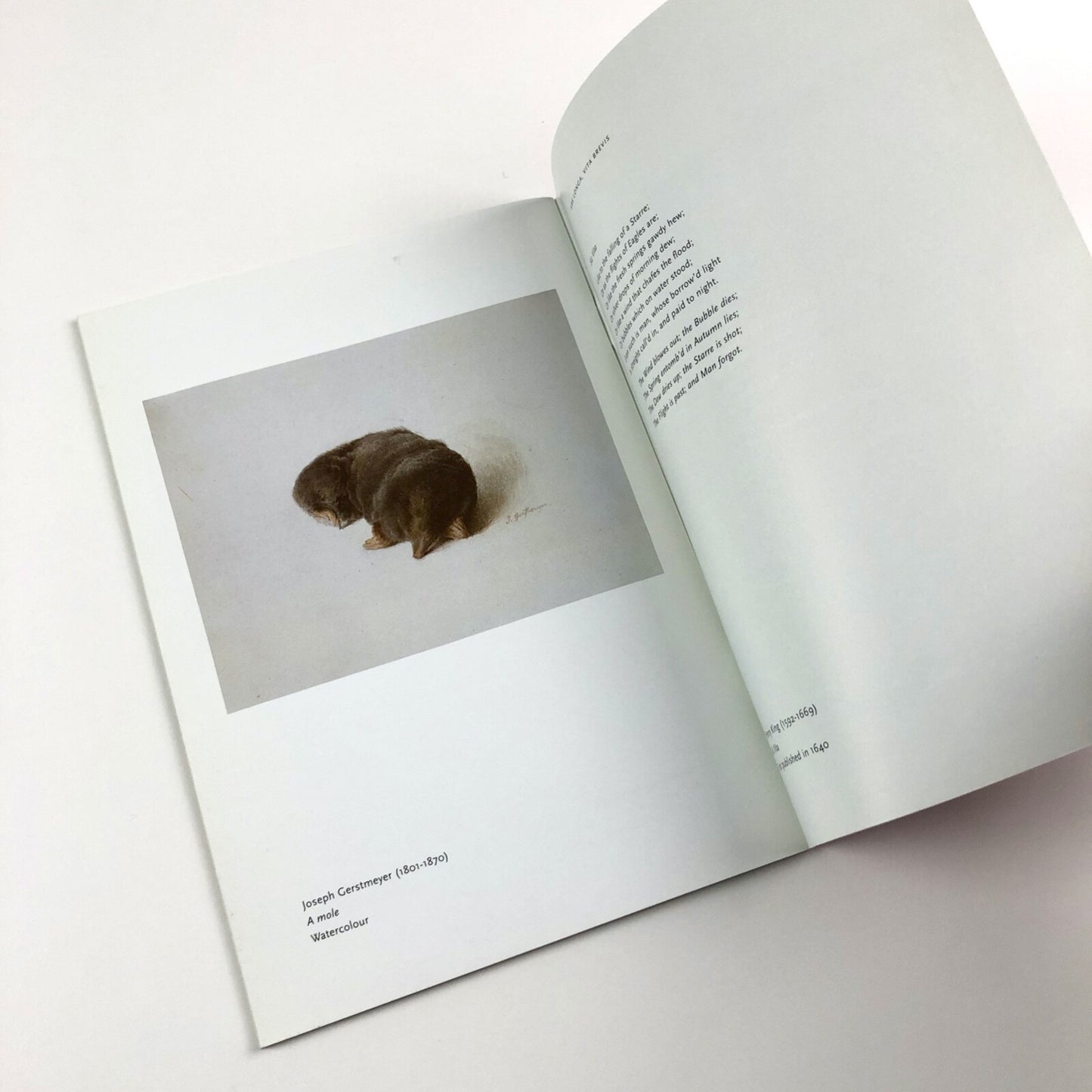 About Time – a selection of poems with works from the Courtauld's collections, | Exhibition guide, 2000