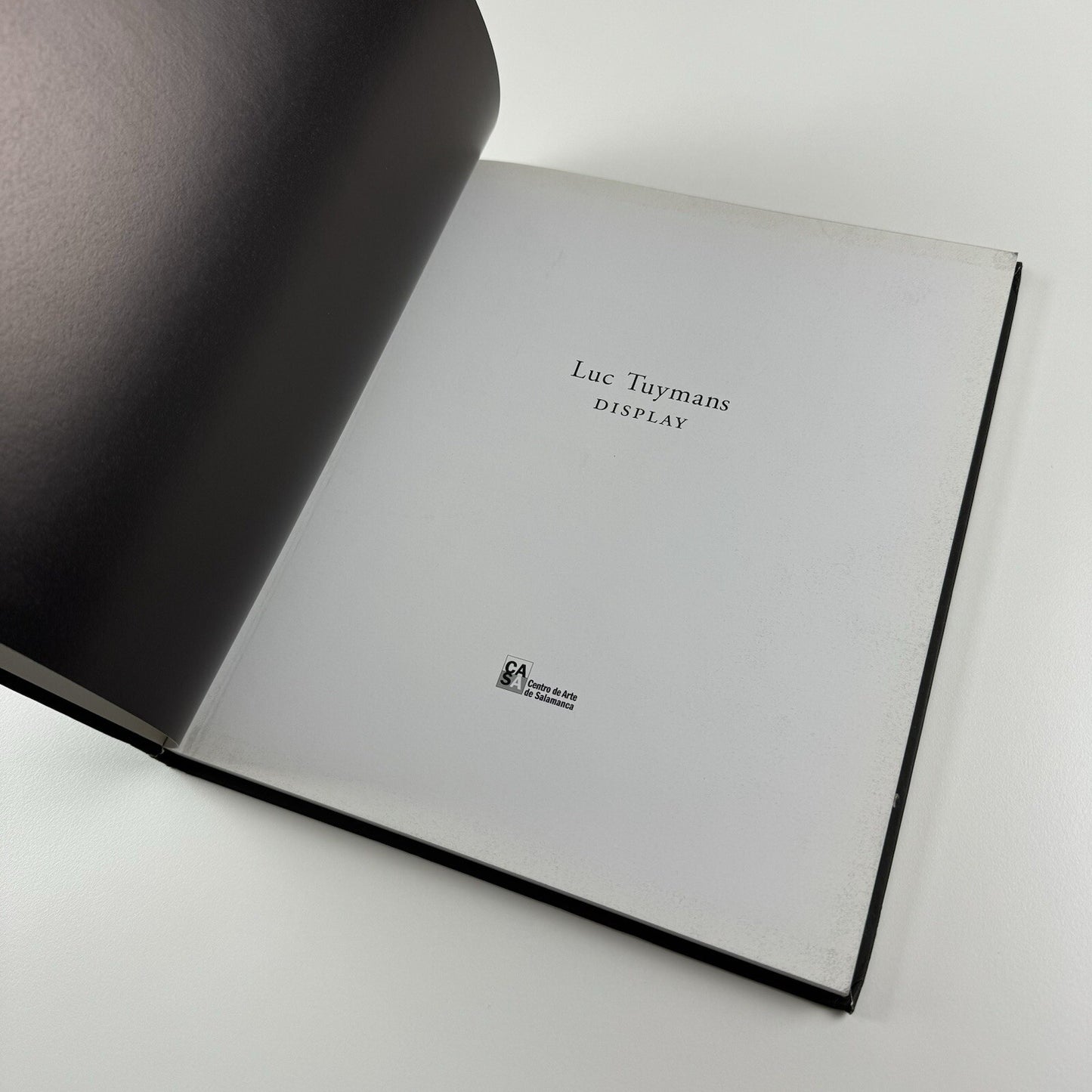 Luc Tuymans. Display | Helsinki Kunsthalle and Centro de Arte de Salamanca | 2003-04 exhibition catalogue