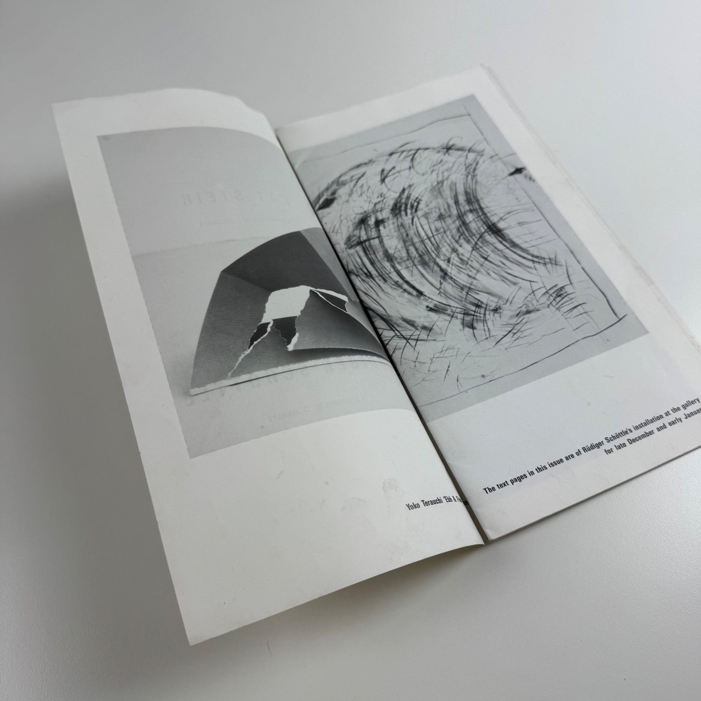 Catalogue for Pat Steir. The Little Critic | Victoria Miro, 1988