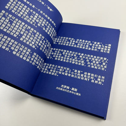 Blue Room. Yang Shao Bin | Ullens Center for Contemporary Art in Beijing, 2010 catalogue