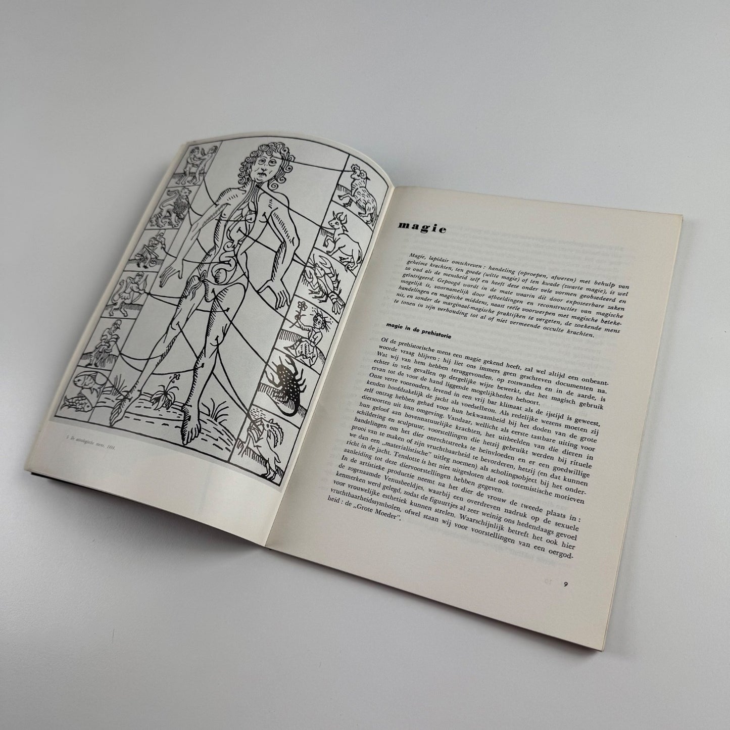 Tentoonstelling Magie | stad Antwerpen Stedelijk feestzaal 1957