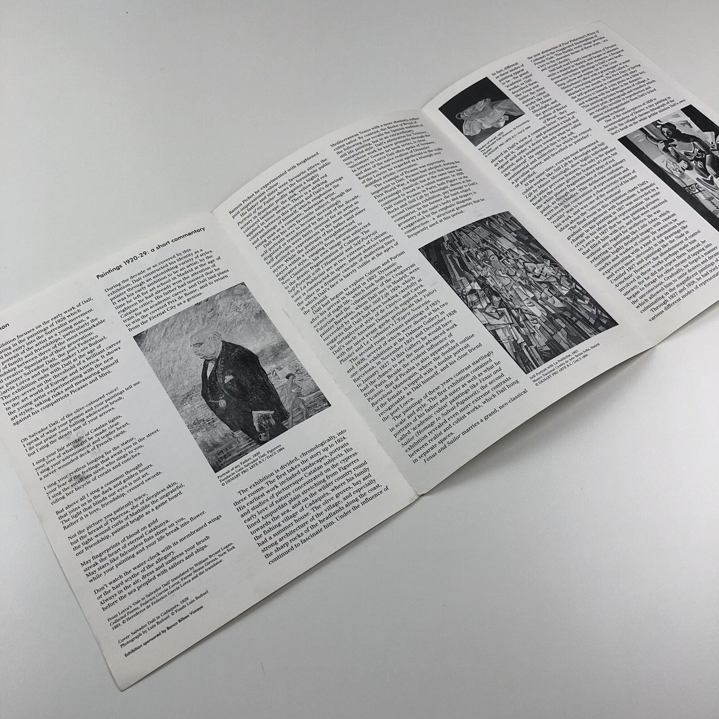 Dalí The early years | exhibition guide to Hayward Gallery 1994