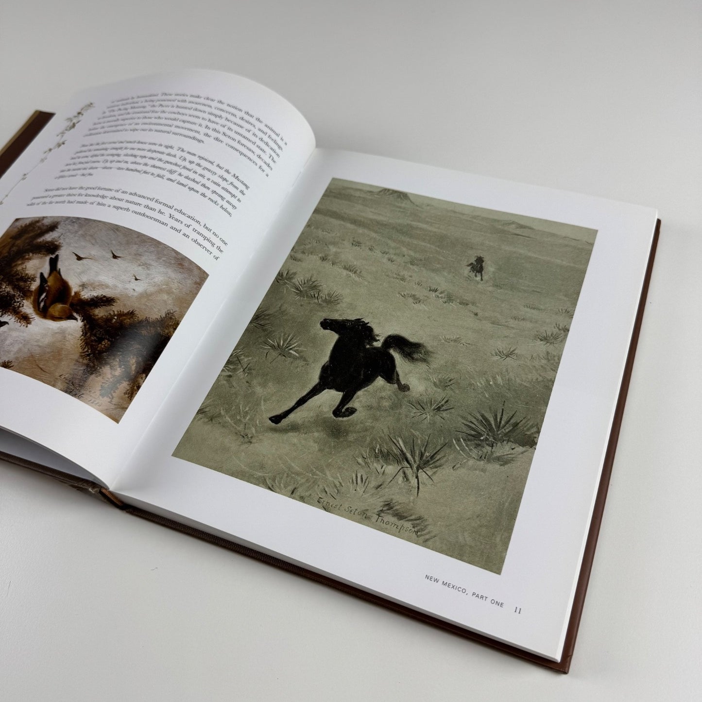 Ernest Thompson Seton: The Life and Legacy of an Artist and Conservationist by David L. Witt | Gibbs M. Smith, 2010