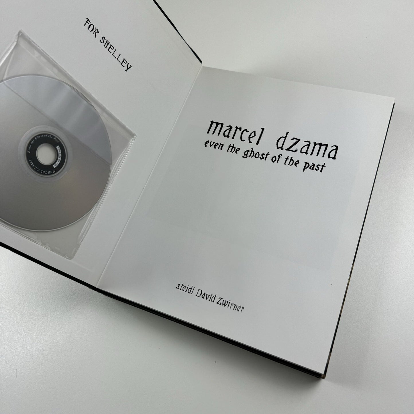Marcel Dzama. Even the Ghost of the Past | David Zwirner, 2008 catalogue