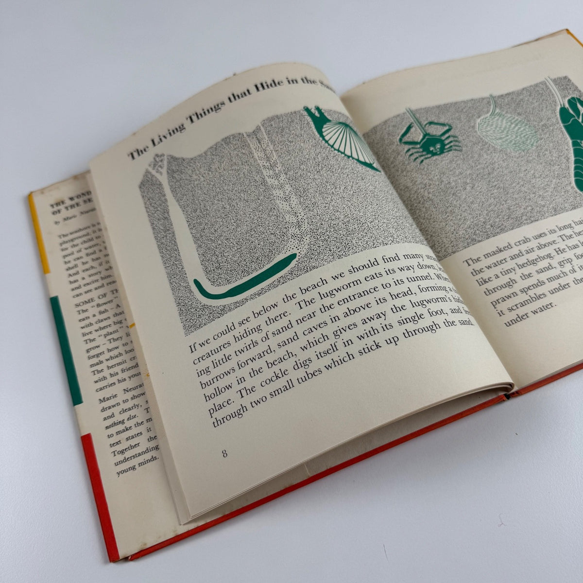 The Wonder World of the Seashore Marie Neurath, Max Parrish second edition Isotype Institute