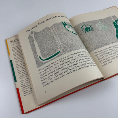 The Wonder World of the Seashore Marie Neurath, Max Parrish second edition Isotype Institute