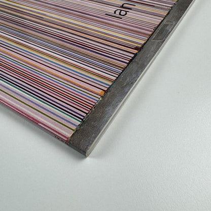 Ian Davenport | Ikon Gallery exhibition catalogue, 2004