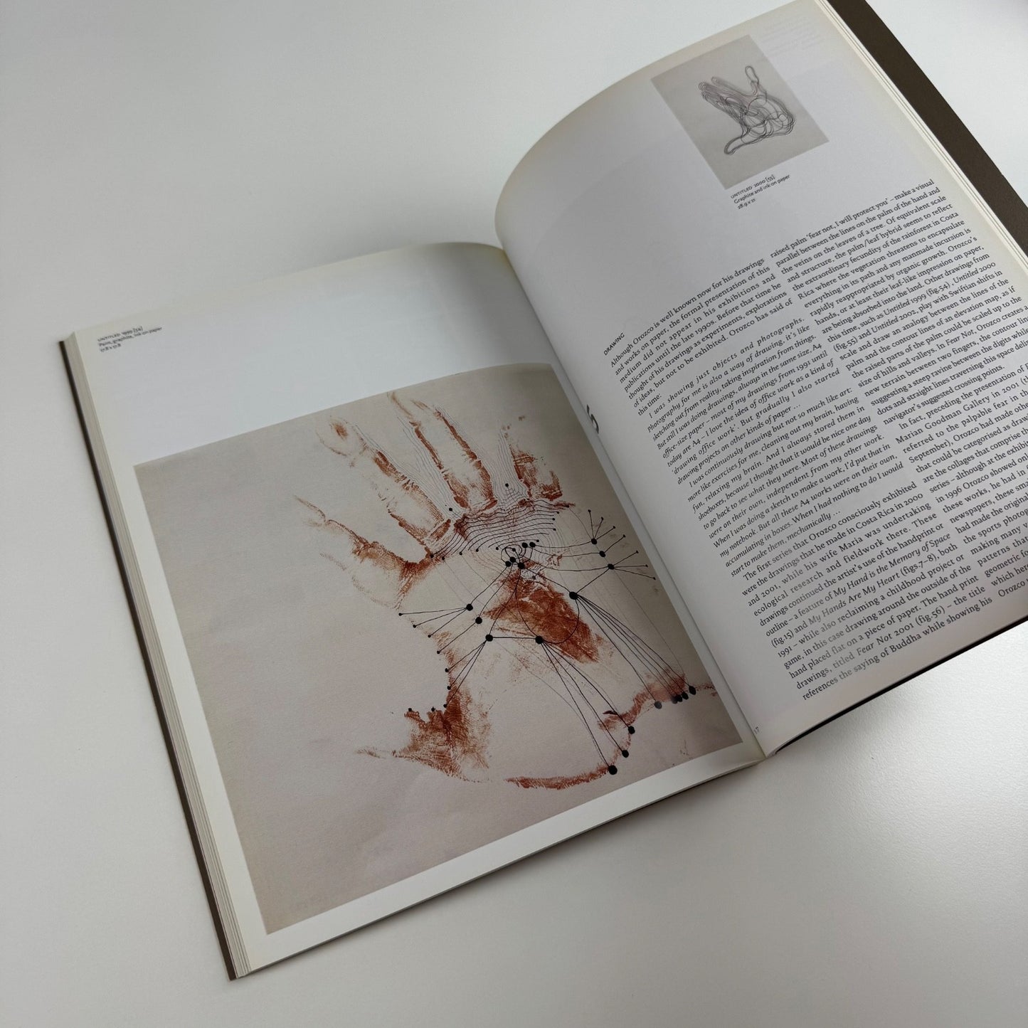 Gabriel Orozco by Jessica Morgan | Tate, 2011