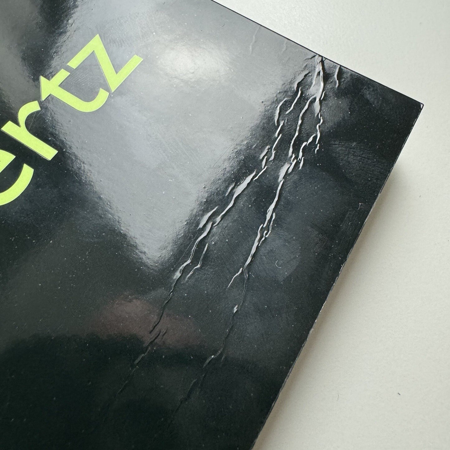 RO'MA - Rosemarie Trockel and Markus Lüpertz, 2006 Akademos exhibition catalogue