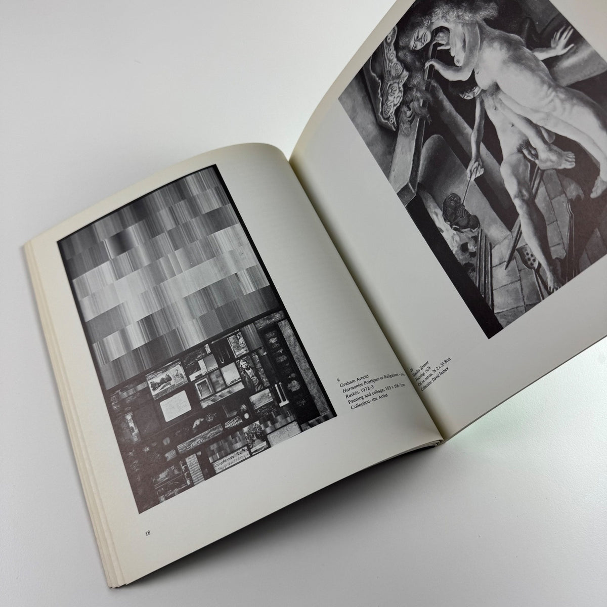The Brotherhood of Ruralists by Nicholas Usherwood | Arnolfini Gallery 1980