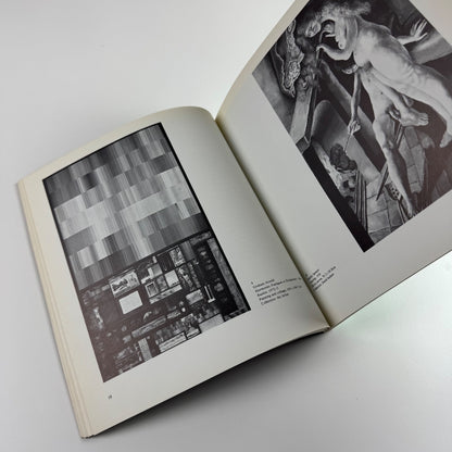 The Brotherhood of Ruralists by Nicholas Usherwood | Arnolfini Gallery 1980