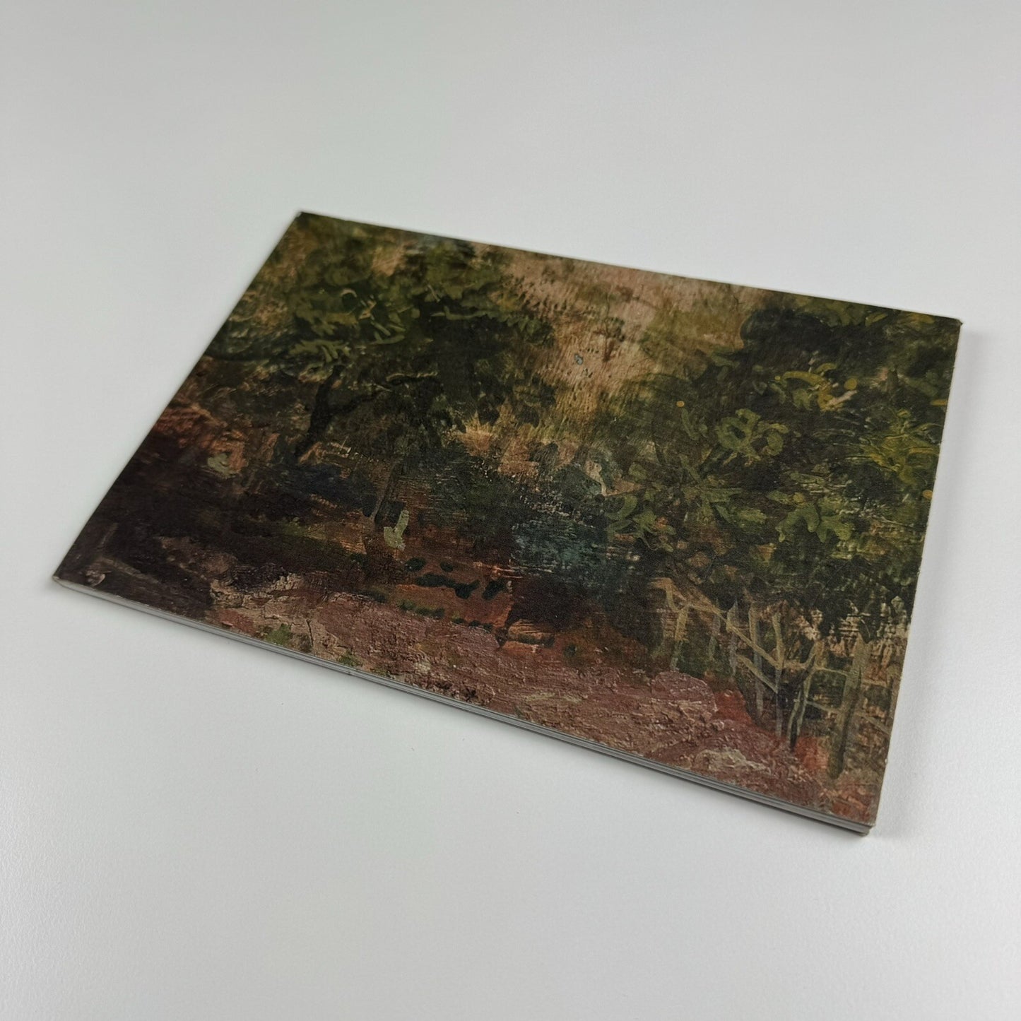 Emily Patrick – Recent Paintings 2002-2005 | The Air Gallery catalogue, 2005