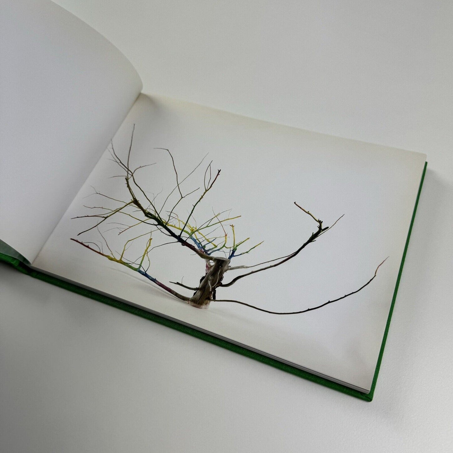 Francis Upritchard - Save Yourself | Fondazione Claudio Buziol, 2009