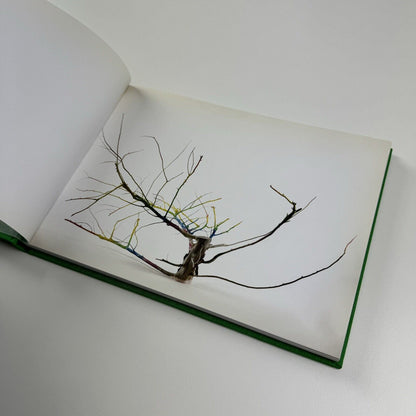 Francis Upritchard - Save Yourself | Fondazione Claudio Buziol, 2009