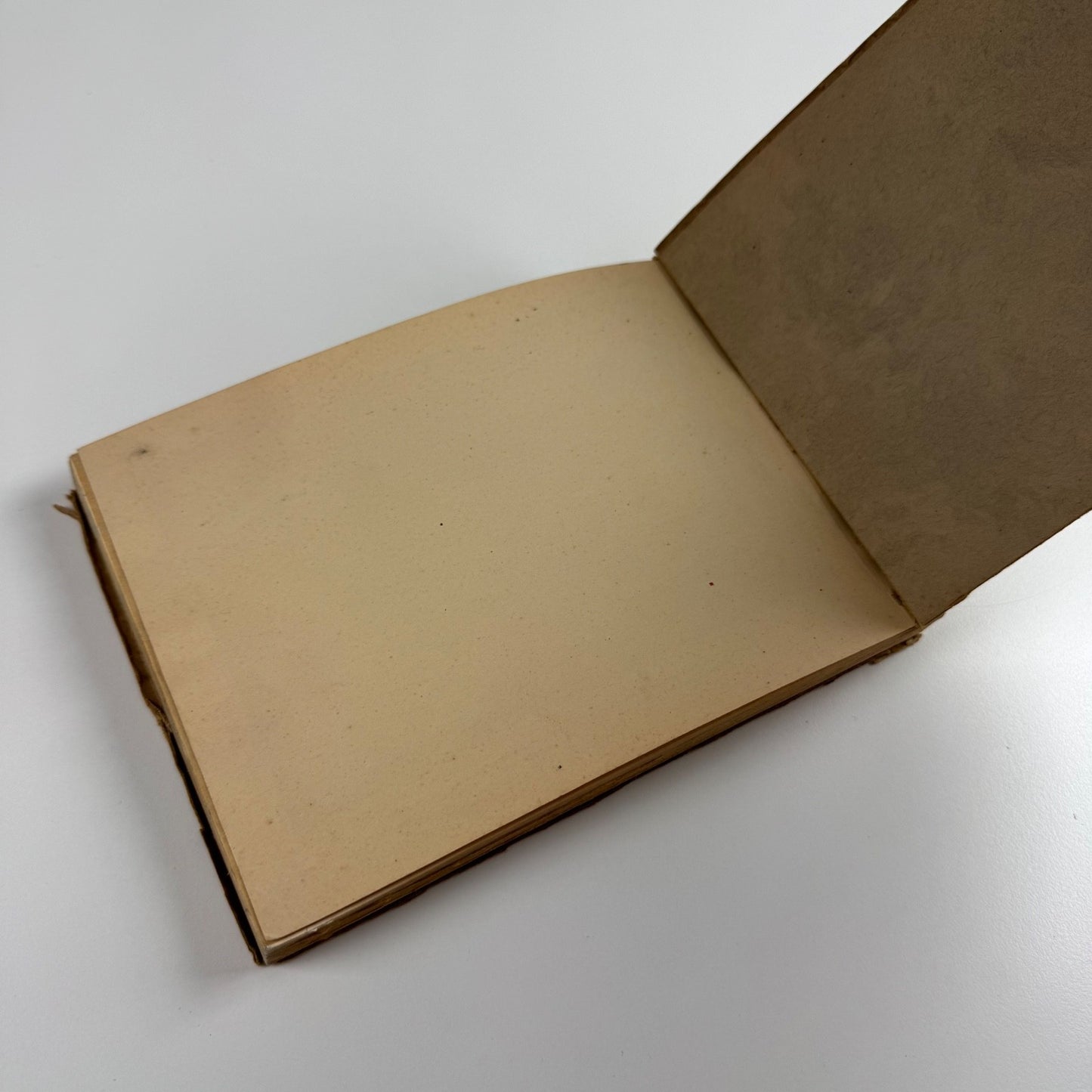 The Sculpture of Stephan Buxin | Bruton Gallery, 1981
