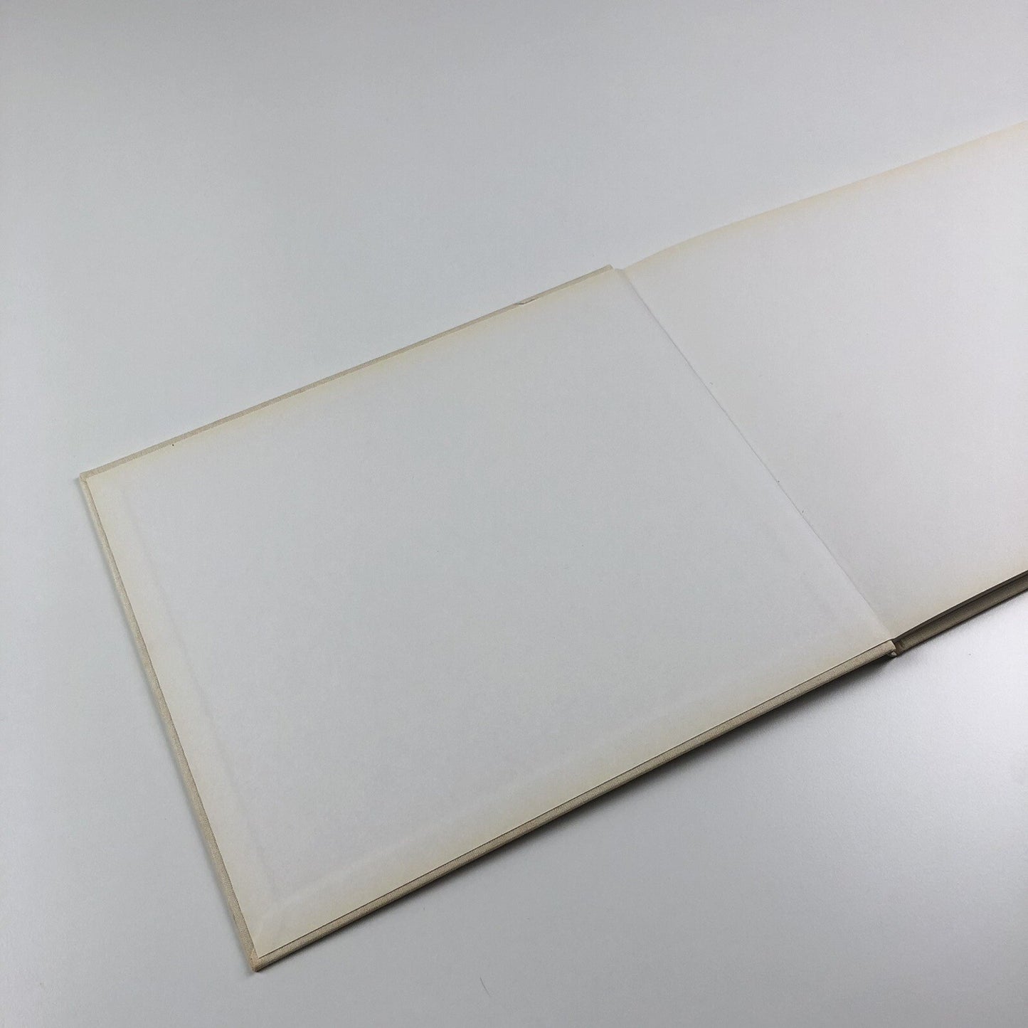 Libby Raynham Paintings | Edition Howeg, Zurich, 2001