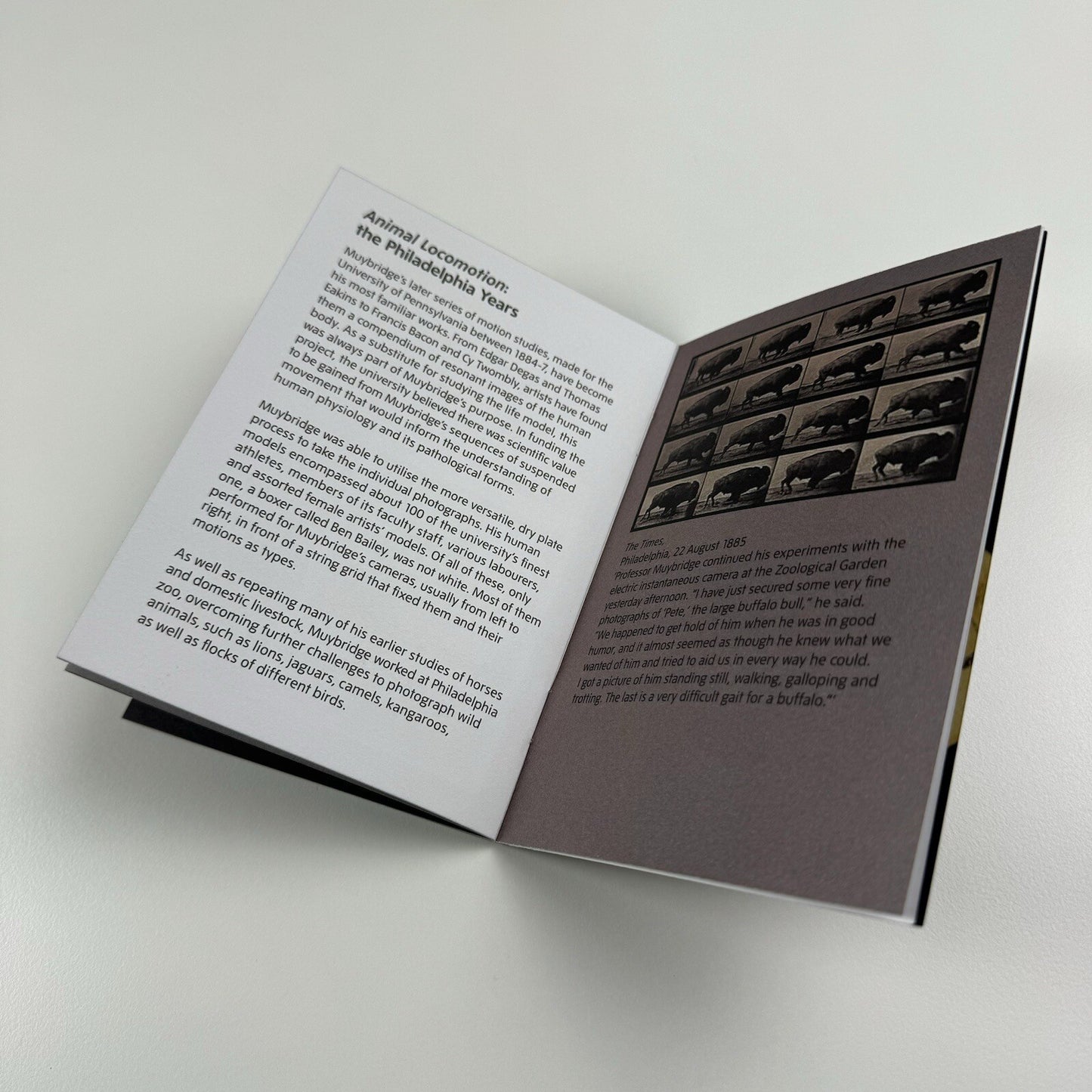Eadweard Muybridge | Small exhibition guide, Tate Britain 2011