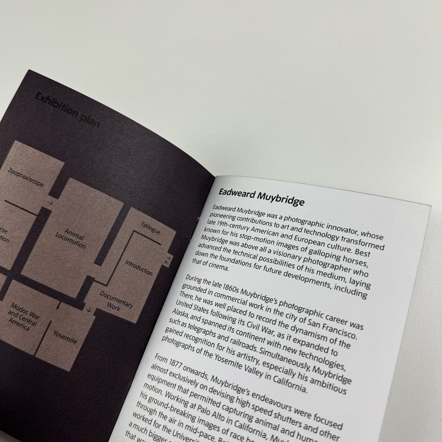 Eadweard Muybridge | Small exhibition guide, Tate Britain 2011