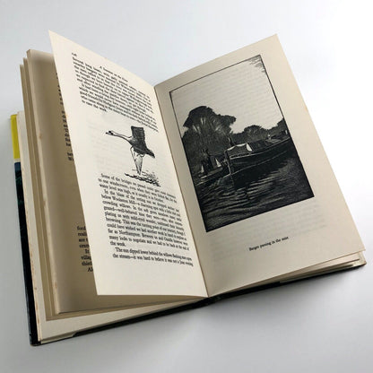 A Summer on the Nene by 'BB' | D. J. Watkins-Pitchford | Kaye & Ward Ltd, 1967 | Hardback
