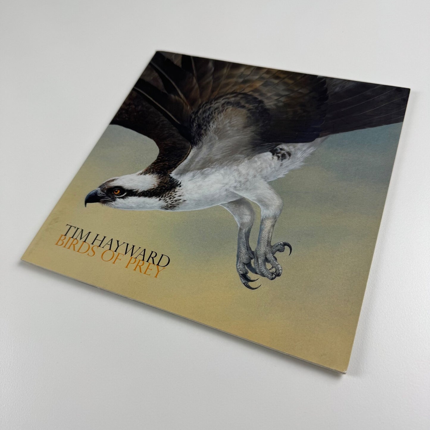Tim Hayward. Birds of Prey | Jonathan Cooper, undated