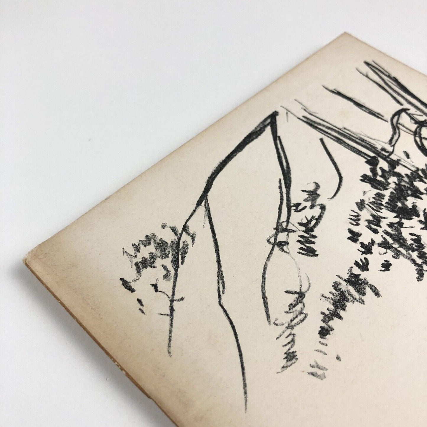 P. Wilson Steer 1860-1942 Arts Council exhibition catalogues, 1980