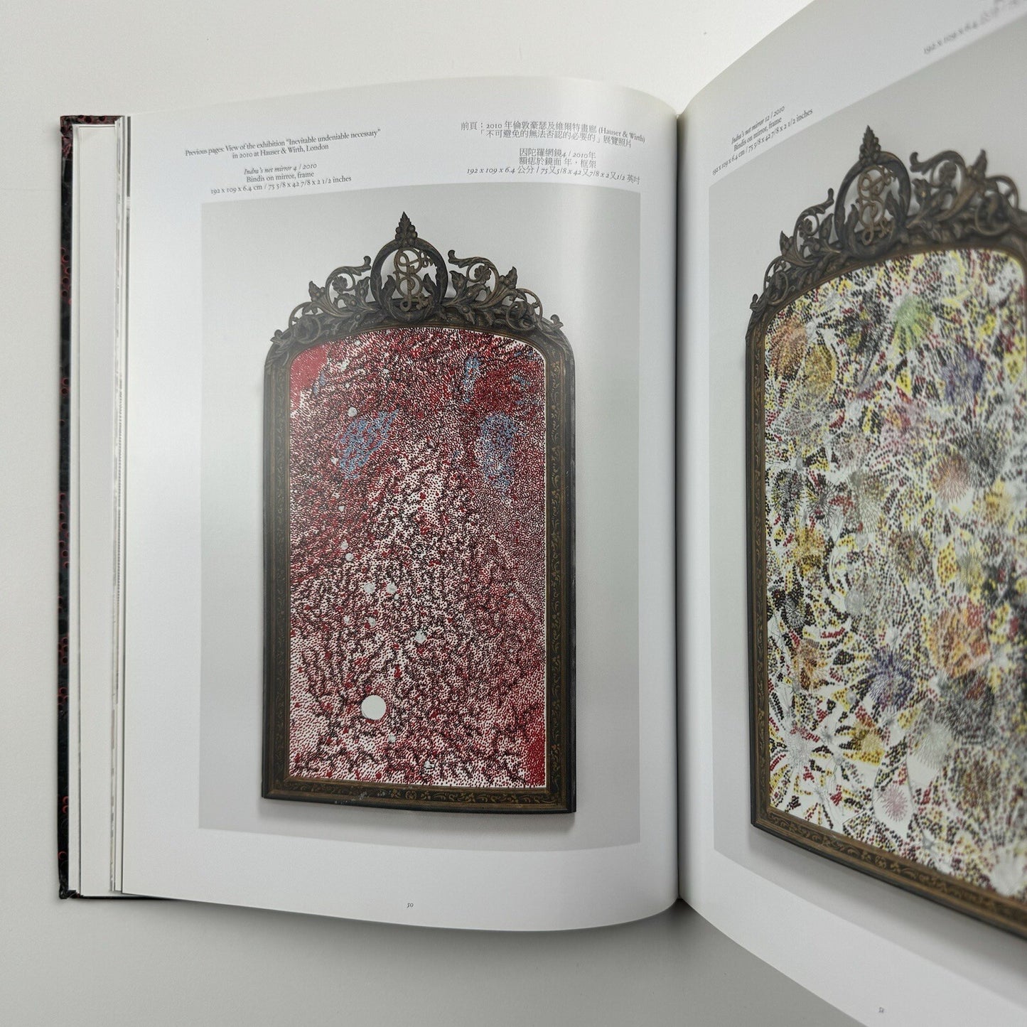 Bharti Kher – Blind, eyes open | Galerie Perrotin 2012 catalogue