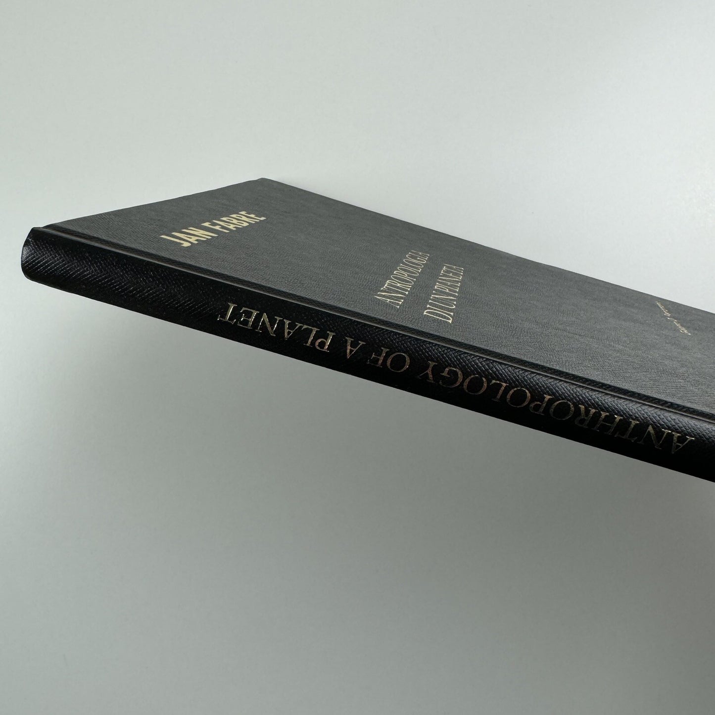 Antropologia di un planeta Jan Fabre by Giacinto Di Pieterantonio 2007 | Signed