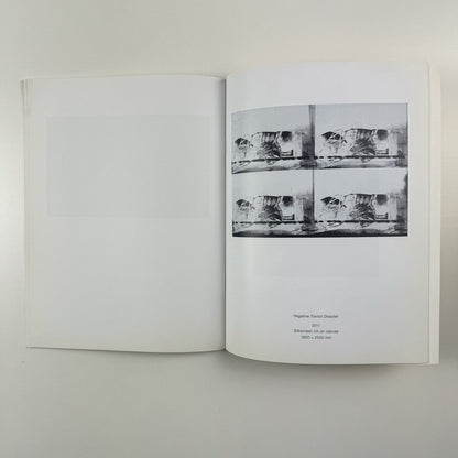 Gavin Turk | The Monaco Project for the Arts | Patricia Low Contemporary, 2013