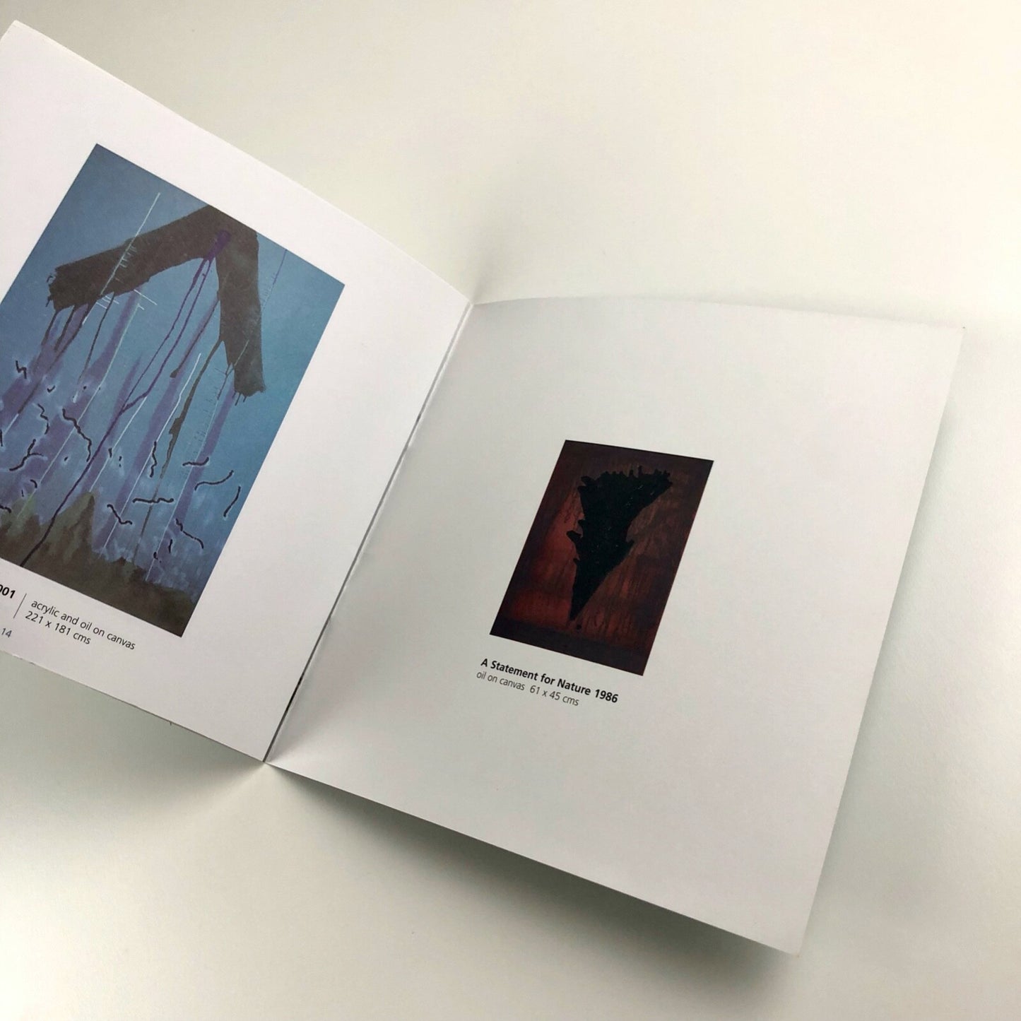 Nothing But Mirrors and Tides – David Manley paintings | Derby Museum catalogue, 2002