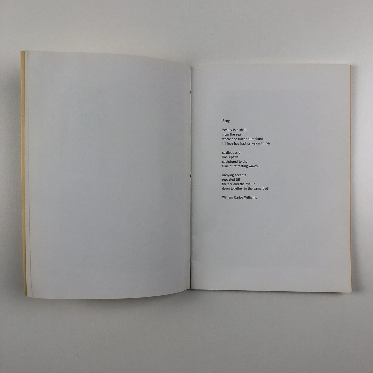 Libby Raynham. Sea-change | Susanna Rüegg galerie & poesie 2004 | Signed copy