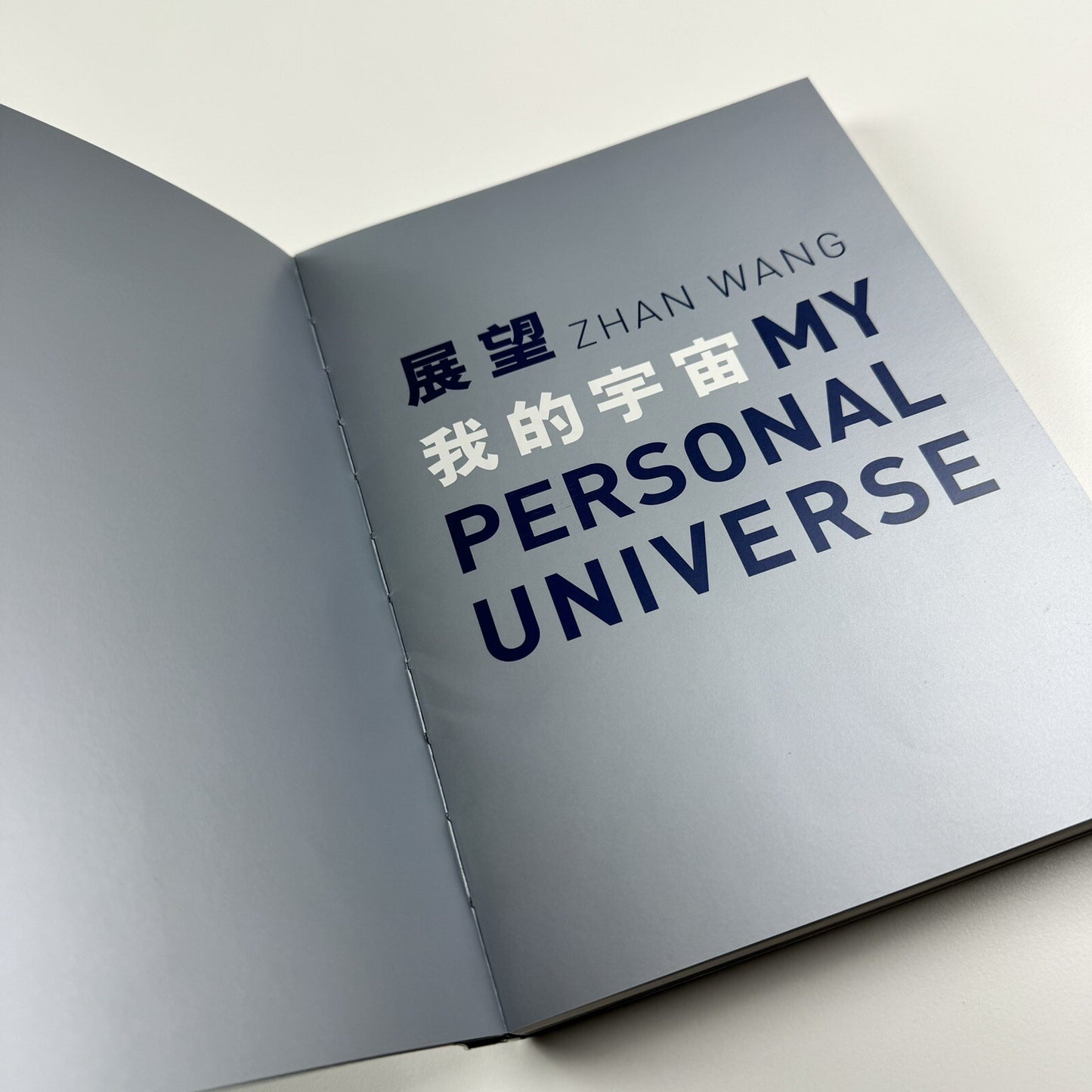 Zhan Wang. My Personal Universe | Ullens Center for Contemporary Art, 2011 catalogue