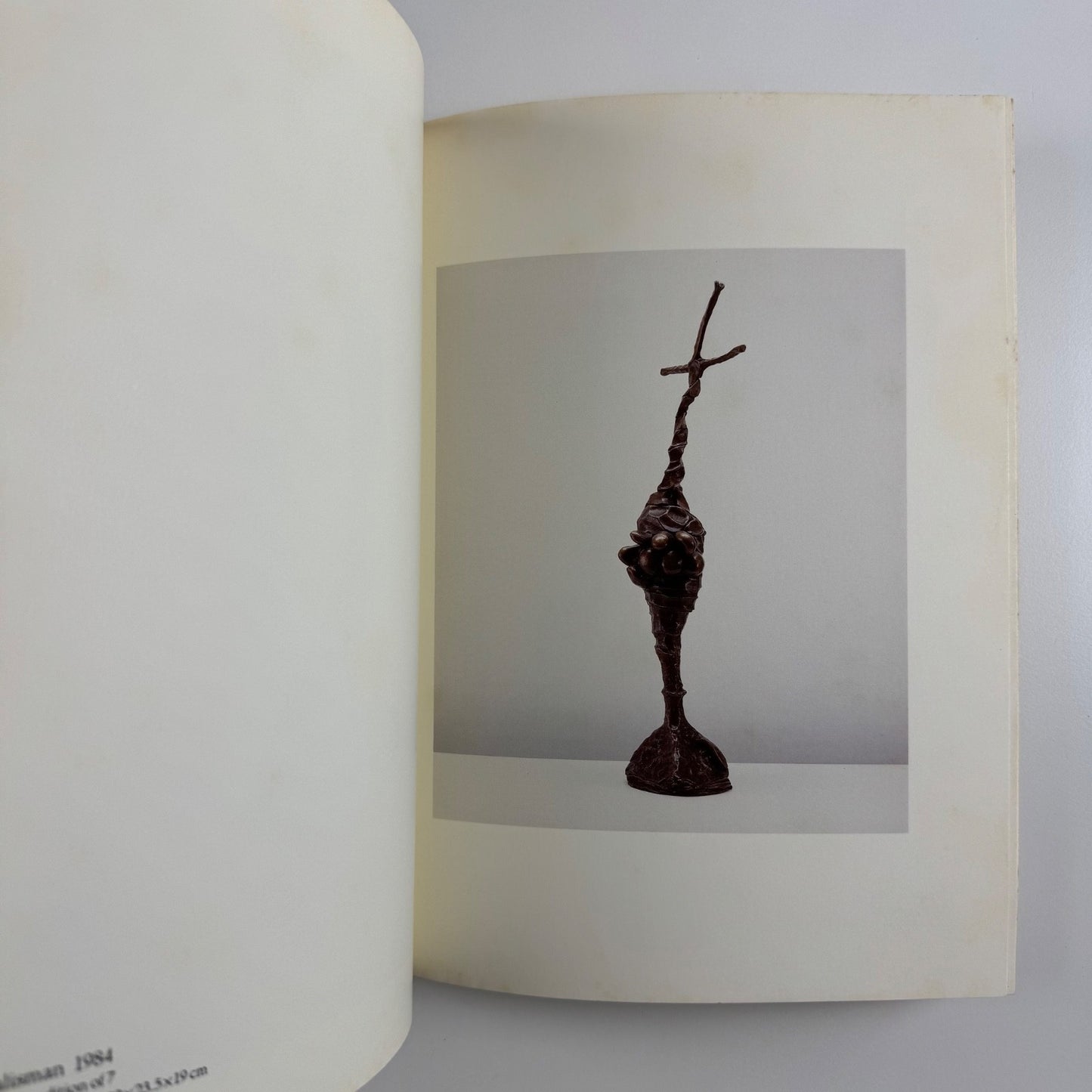 Barry Flanagan | Waddingon Galleries, 1985