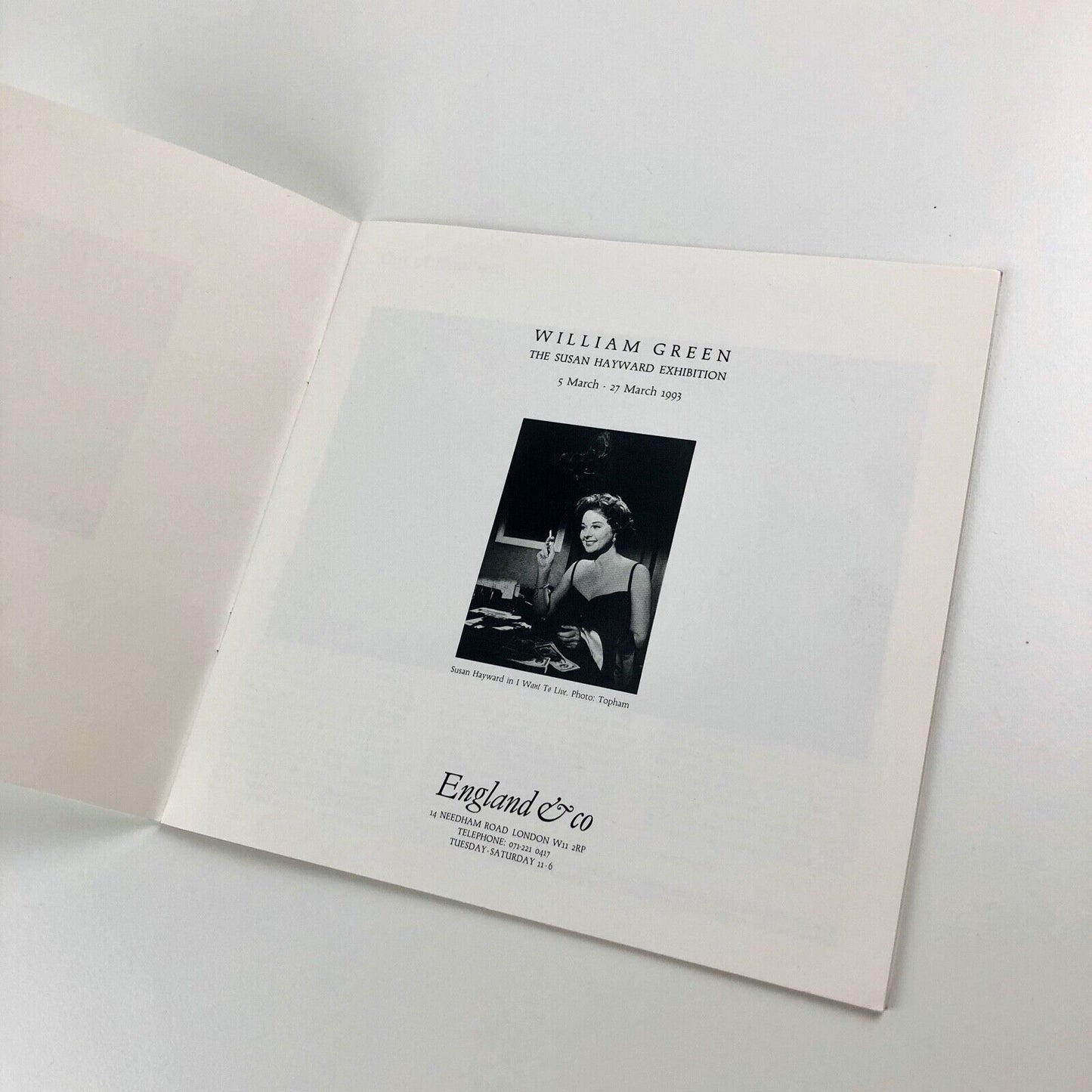 William Green The Susan Hayward exhibition | England & Co catalogue, 1993