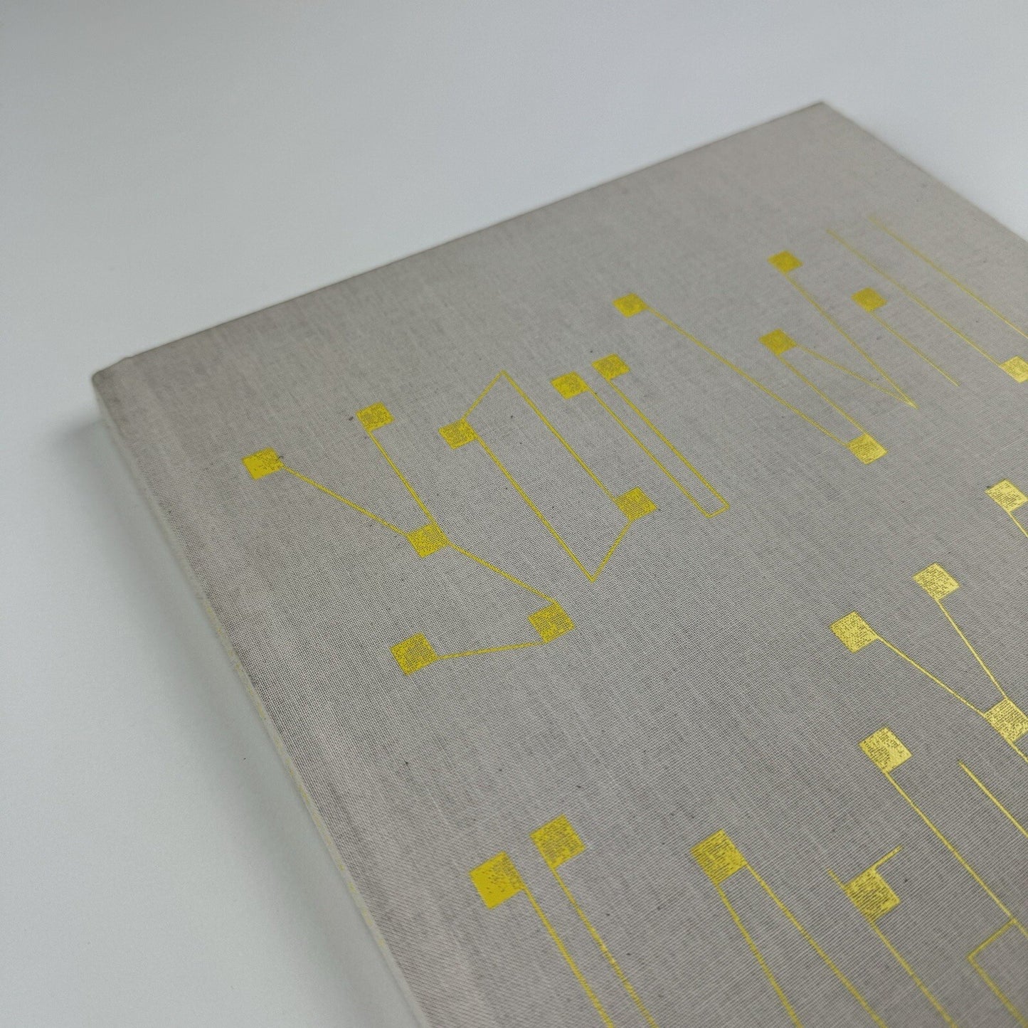 Håvard Homstvedt: You Will Hardly Know | Galleri Riis, 2008 catalogue