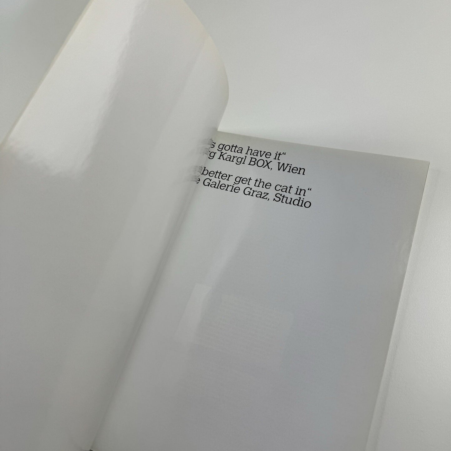 Gabi Trinkaus “works” | Georg Karl BOX and Neue Galerie Graz, 2005 catalogue
