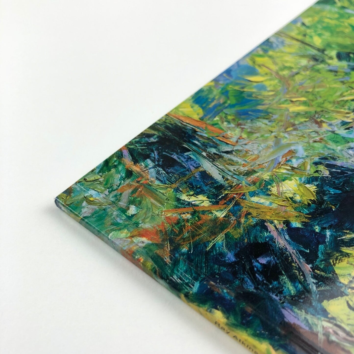 Ray Atkins. A Long View. From Bromley, Reading, Cornwall to the Pyrenees | Art Space Gallery, 2011