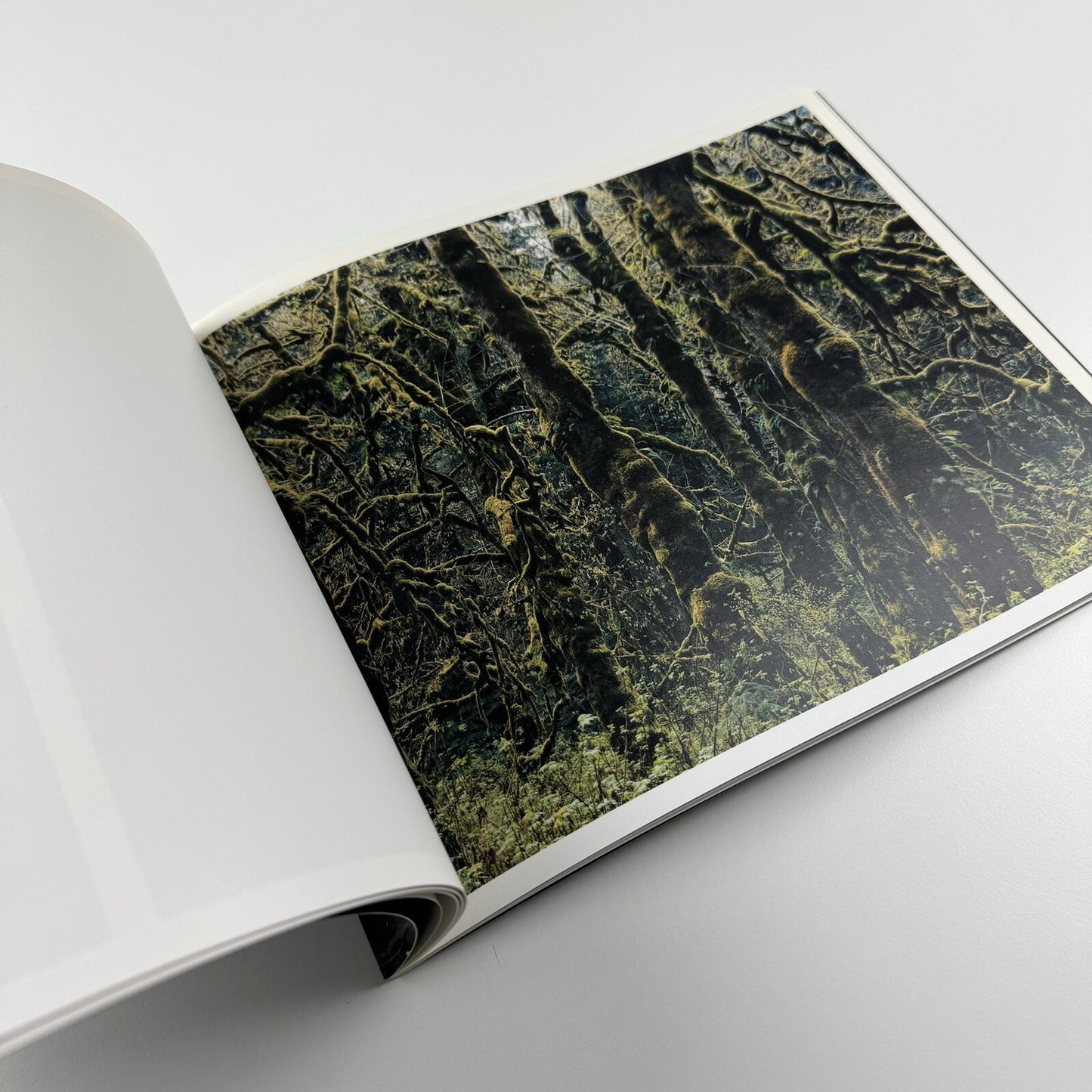 Axel Hütte. Out of Darkness | Waddington Galleries London, 2009 catalogue