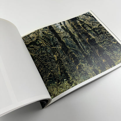 Axel Hütte. Out of Darkness | Waddington Galleries London, 2009 catalogue