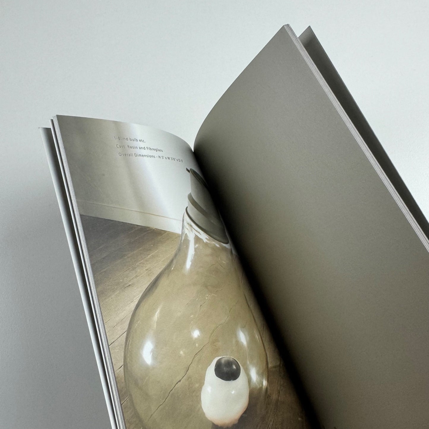 Sunil Gawde. Blind bulb etc | Sakshi Gallery Mumbai, 2005