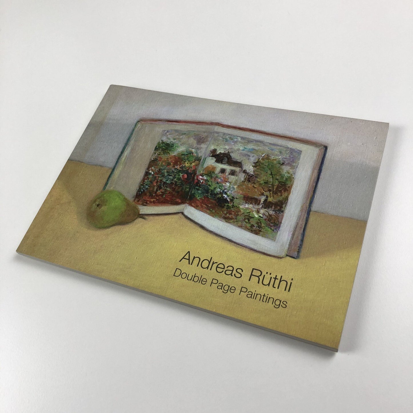 Andreas Rüthi. Double Page Paintings | Duckett & Jeffreys catalogue, 2010