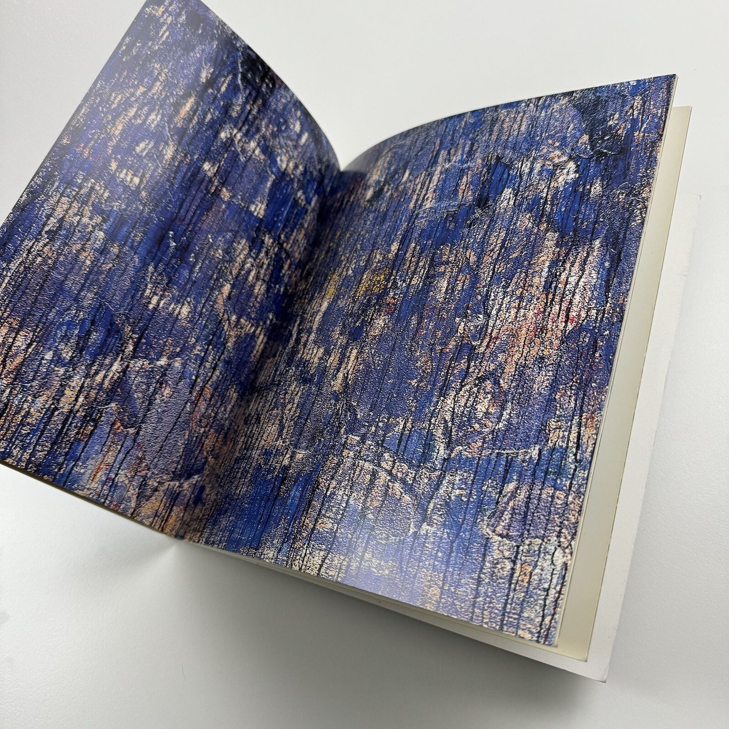Hervé Half. Le faune polymorphe. Natalie Mei. Neo, Paris, 2004