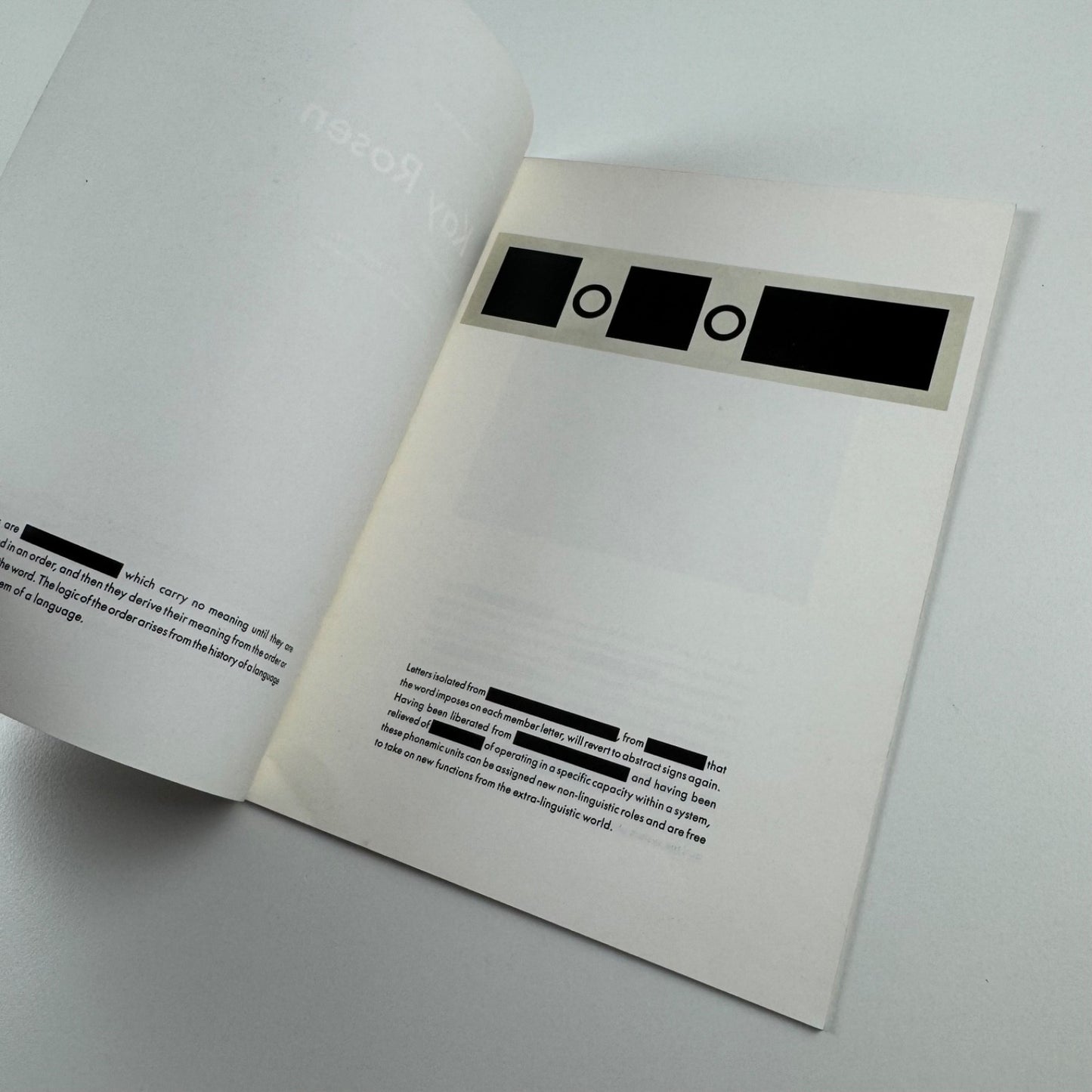 Kay Rosen. Painting 1990. Little Critic Pamphlet Three Victoria Miro Gallery