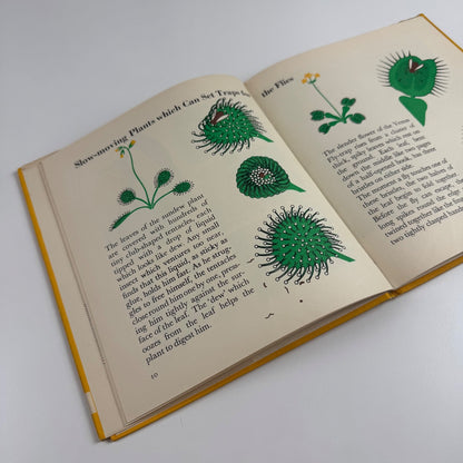 The Wonder World of Strange Plants by Marie Neurath | Max Parrish, 1956 Isotype Institute