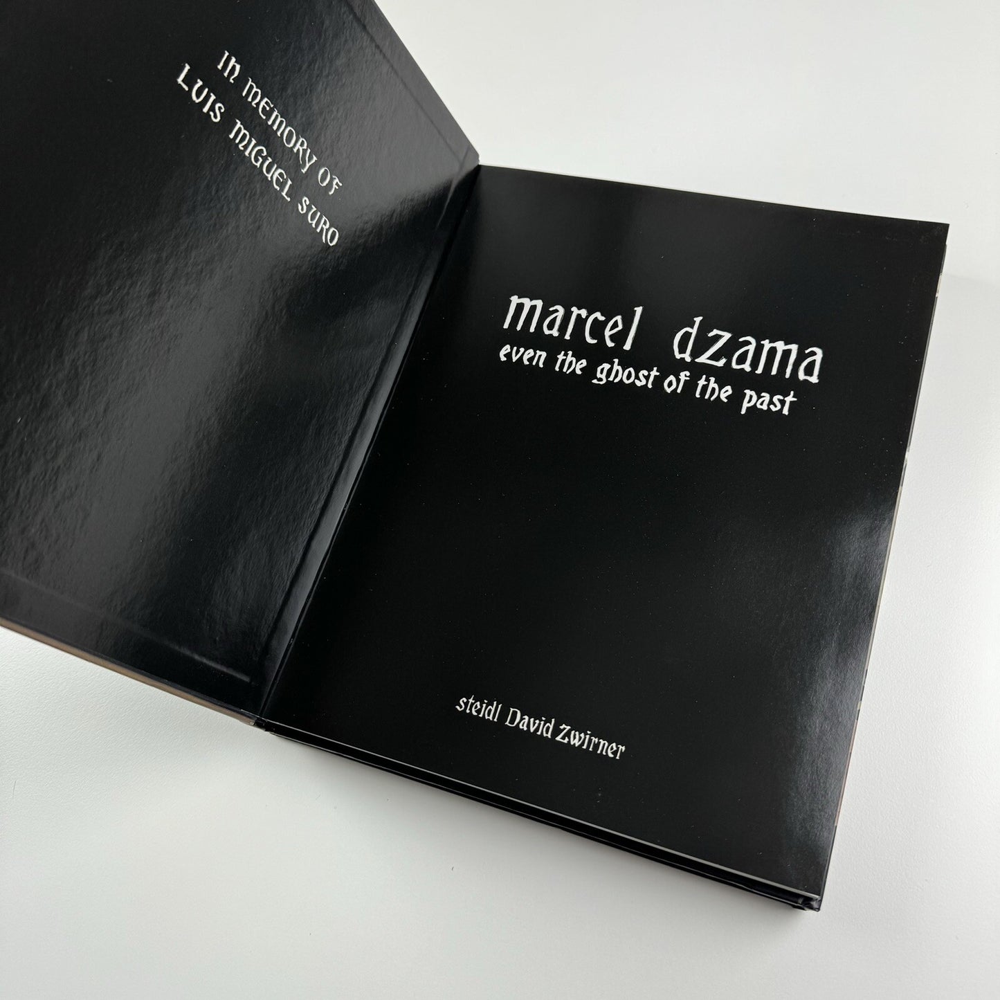 Marcel Dzama. Even the Ghost of the Past | David Zwirner, 2008 catalogue